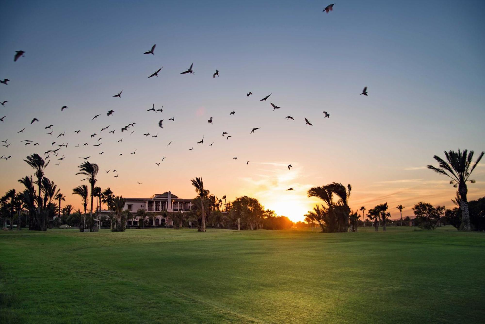 Pickalbatros Hotel Du Golf - Adults Friendly 16 Years Plus- All-Inclusive Marrakesh Exterior photo
